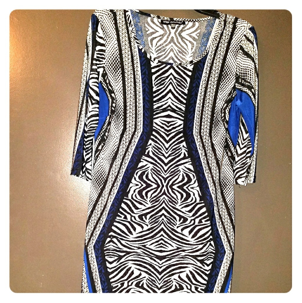 Beautiful zebra print dress