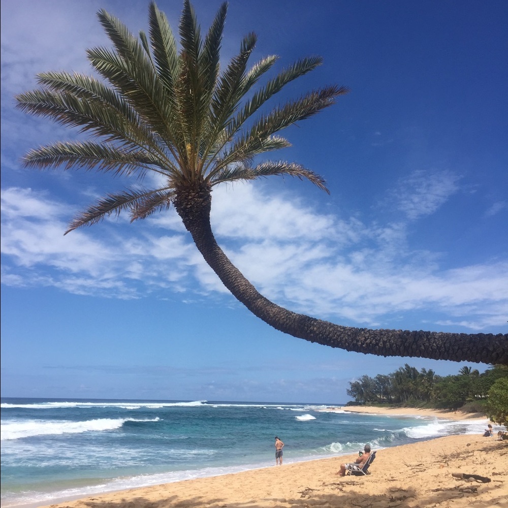 Meet your Posher, Whitney