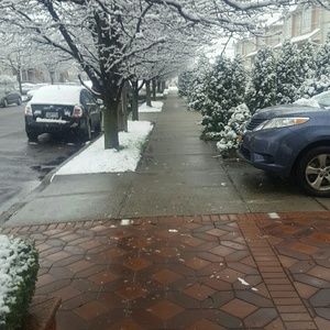 Meet your Posher, Shelly