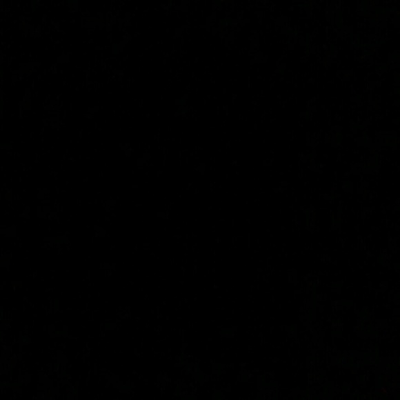 Meet your Posher, Miles - Picture 1 of 1