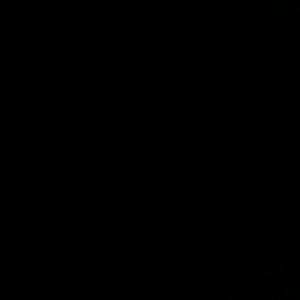 Meet your Posher, Miles