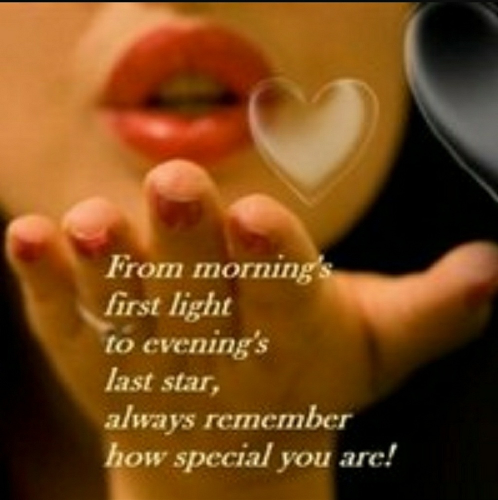 Meet your Posher, Penny