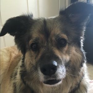 Meet your Posher, Kenda