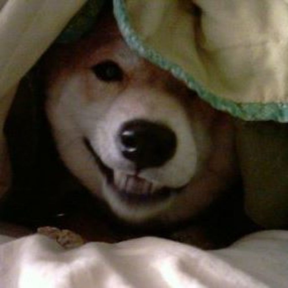 Meet your Posher, Mara