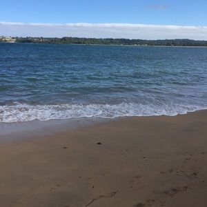 Meet your Posher, Faye