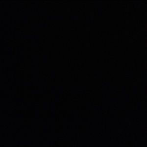 Meet your Posher, Rayshonda