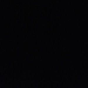 Meet your Posher, Bryce