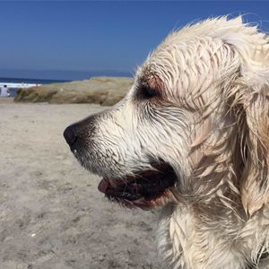 Meet your Posher, Francie