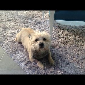 Meet your Posher, Catherine