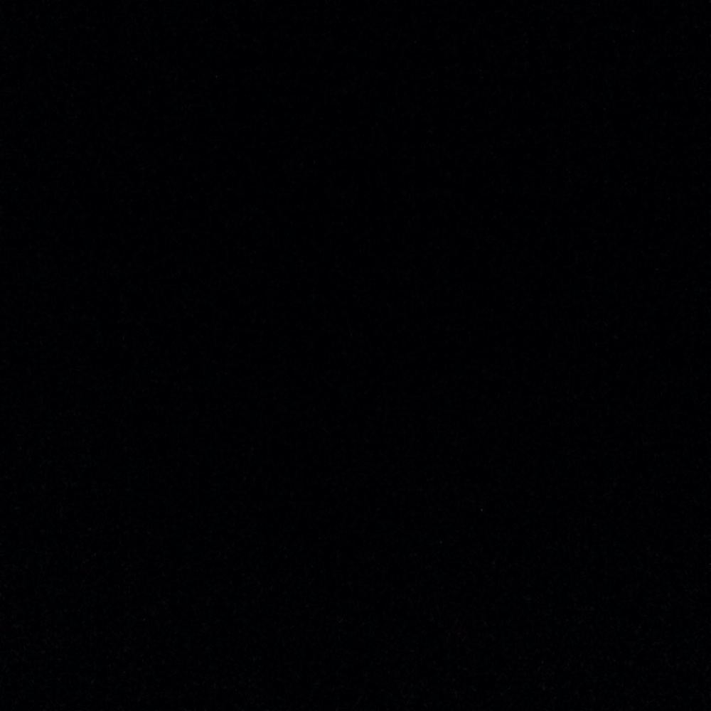 Meet your Posher, Maddie