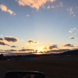 Meet your Posher, Brianne