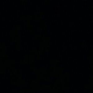 Meet your Posher, Shaondra