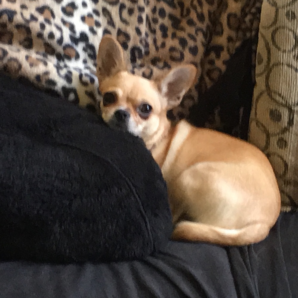 Meet your Posher, Carla