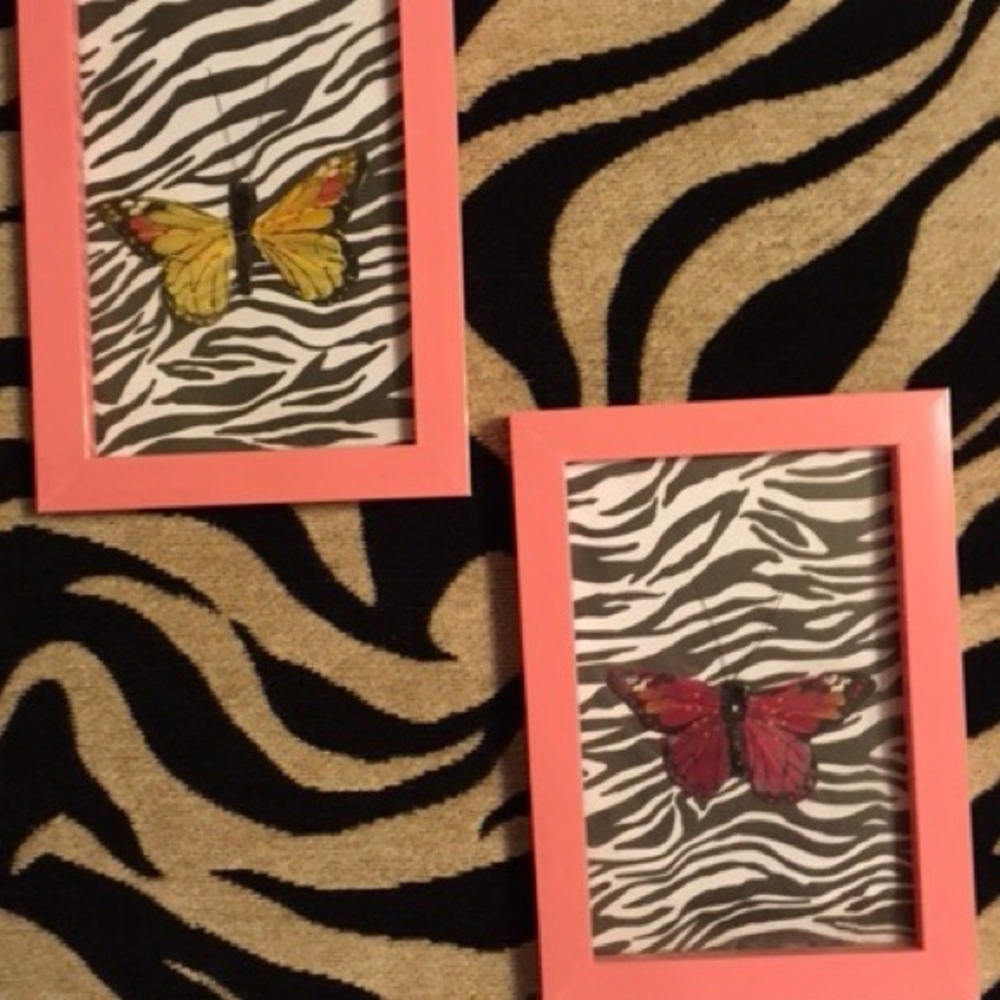 Framed  butterfly