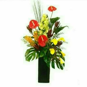 Meet your Posher, Mariefe