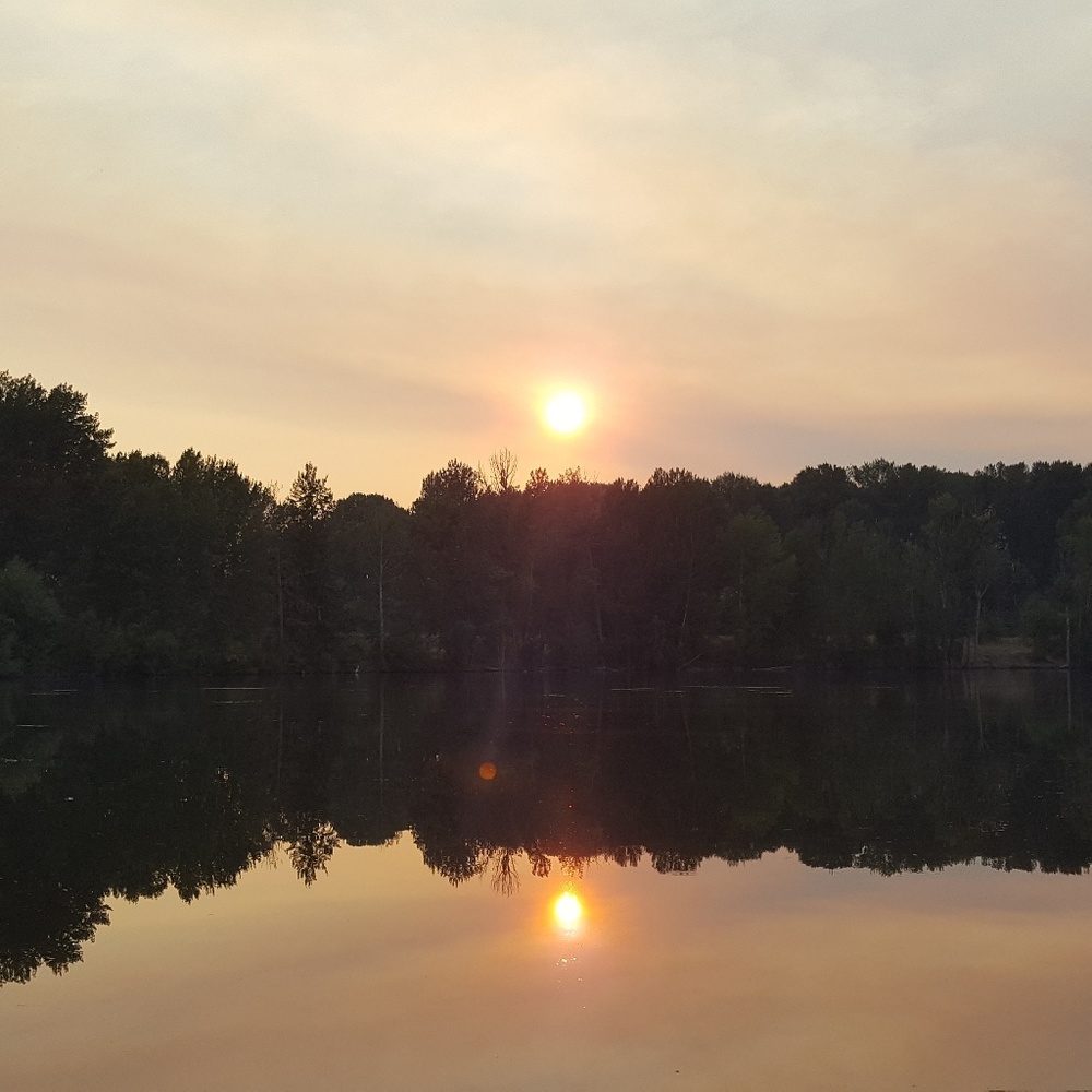 Meet your Posher, F.