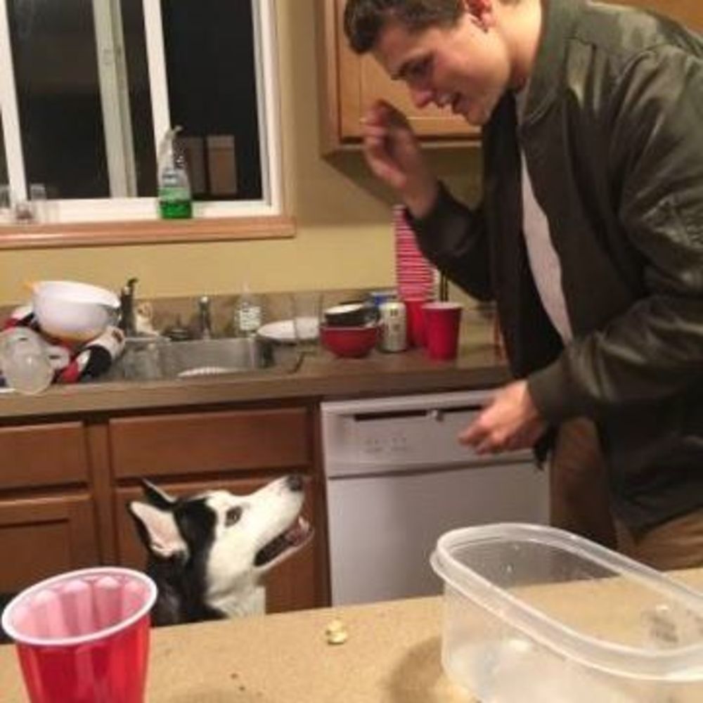 Meet your Posher, Cameron