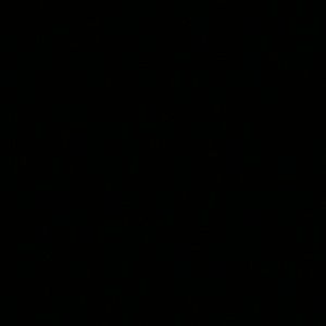 Meet your Posher, Desiree