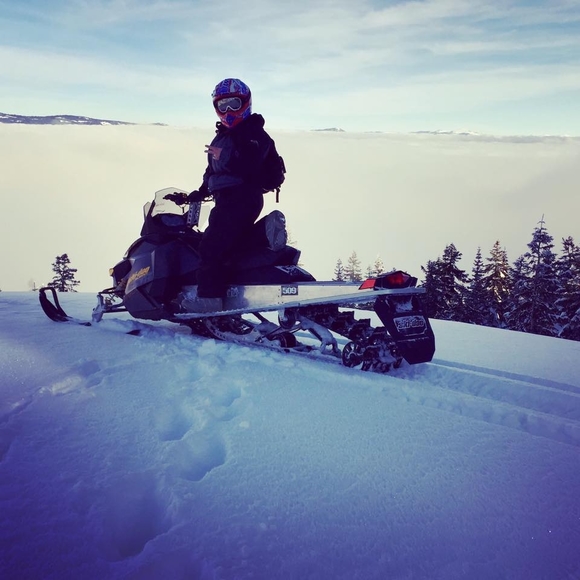 Meet your Posher, Divamarie - Picture 1 of 1