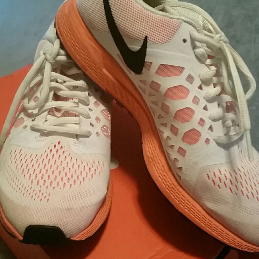 Nike Zoom Pegasus 31