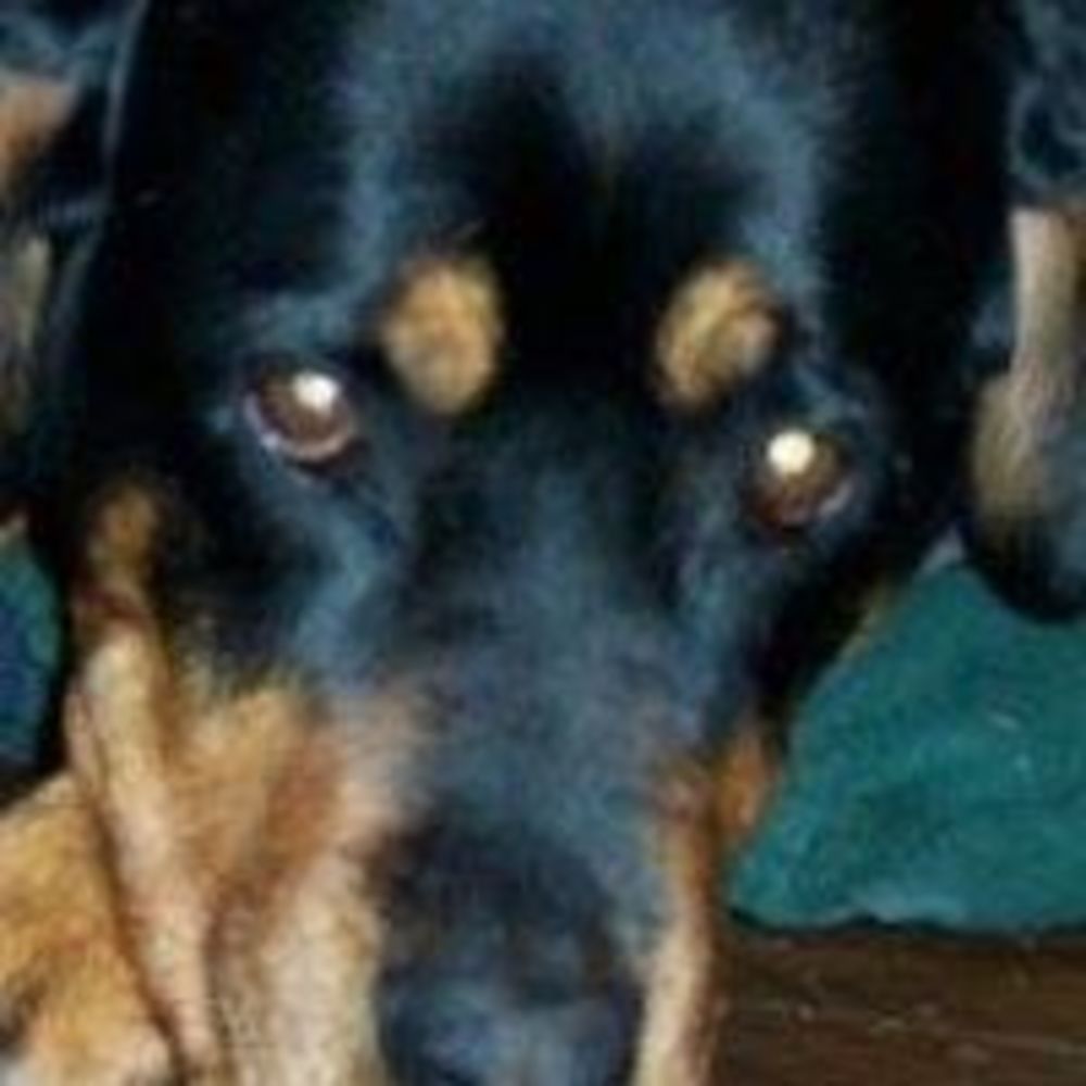 Meet your Posher, Bertha