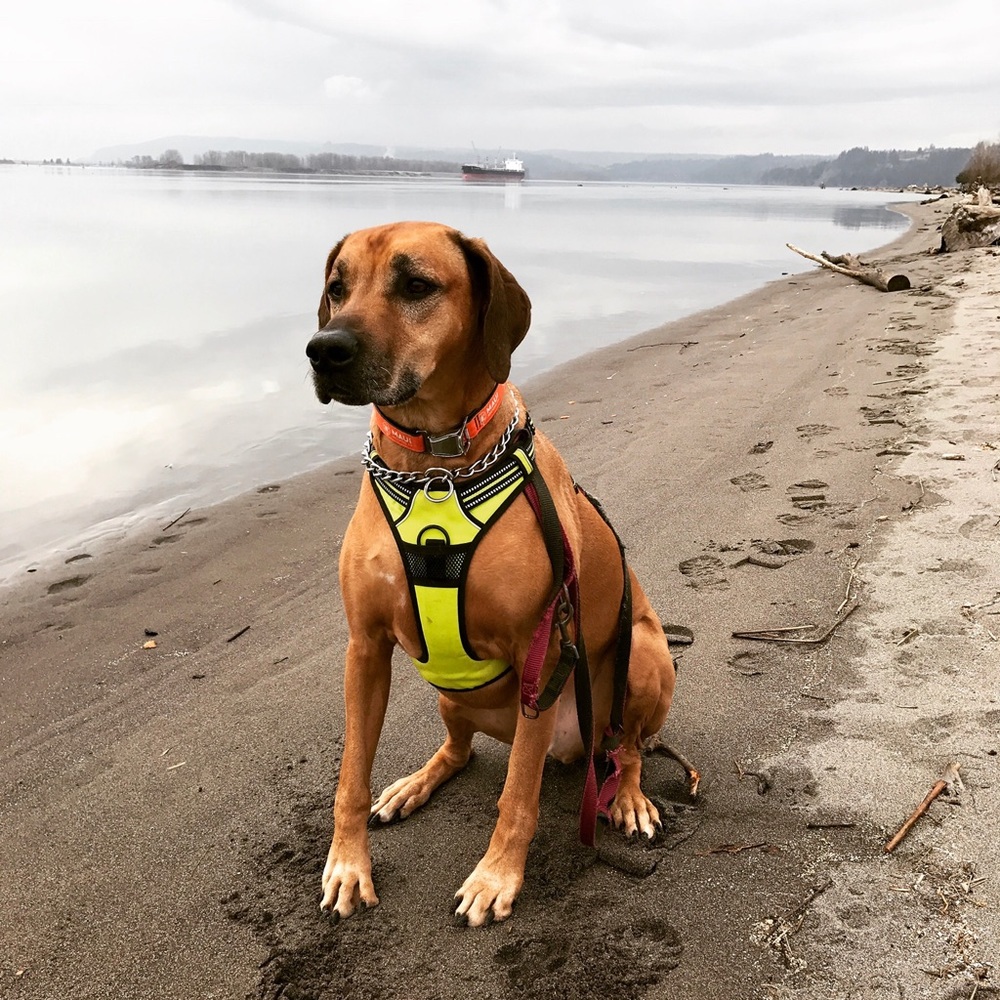 Meet your Posher, Grace