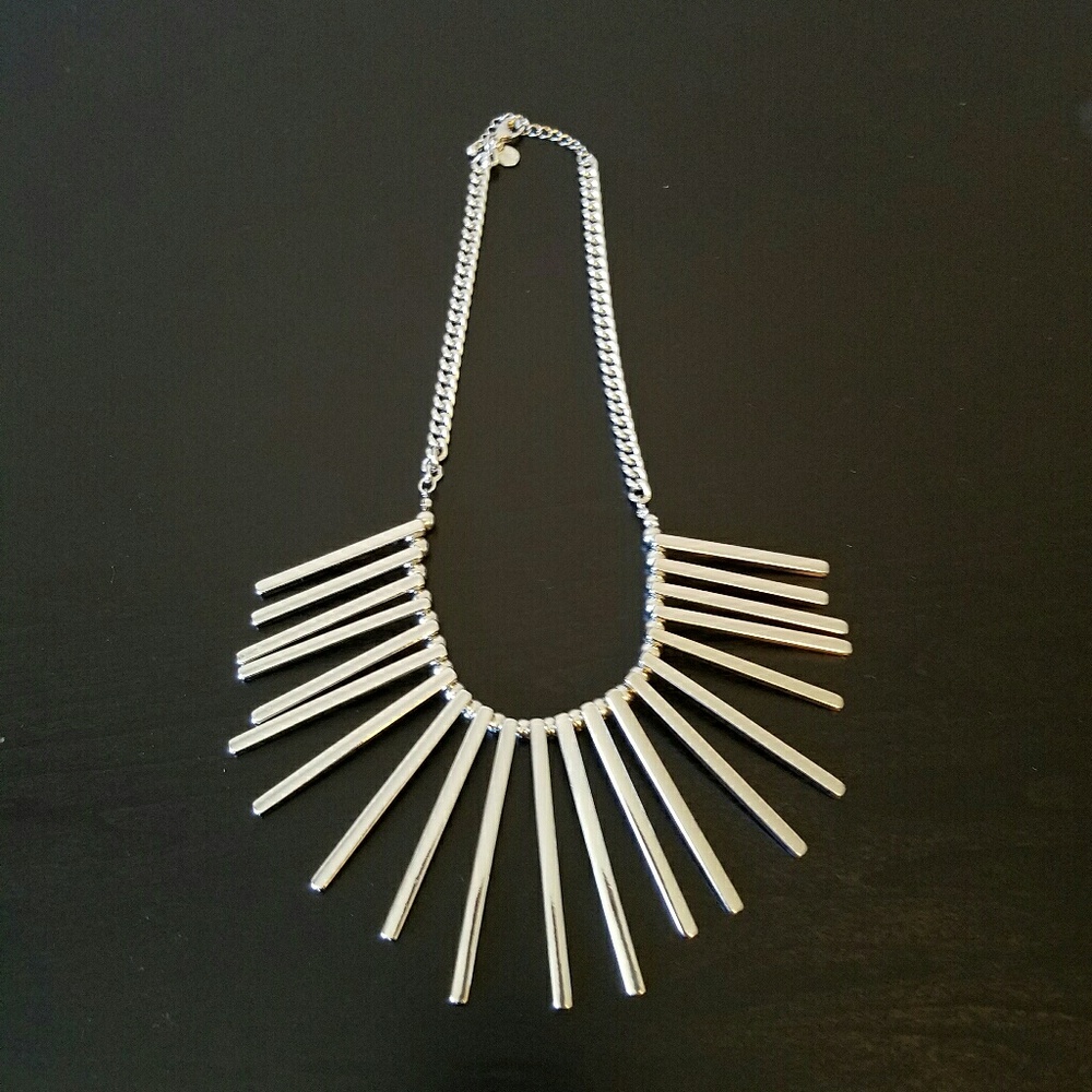 Express silver fringe necklace