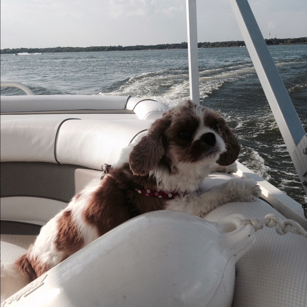 Meet your Posher, Laura