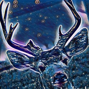 Meet your Posher, Del