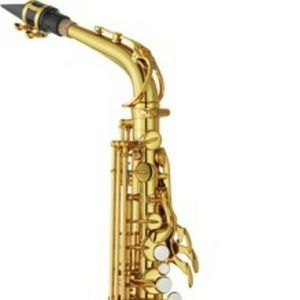 Meet your Posher, Vincent