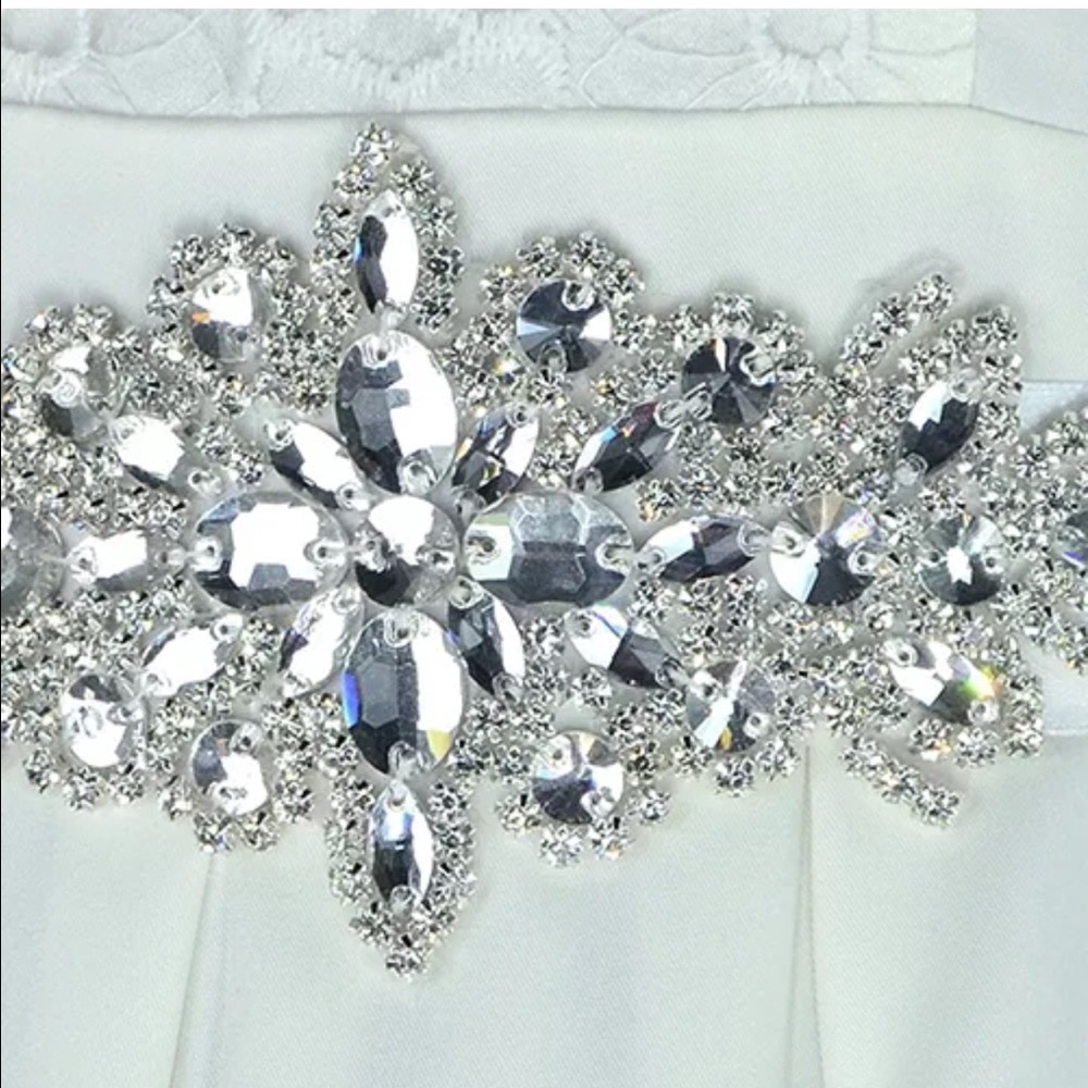 Gorgeous Rhinestone Sash/Belt - Picture 3 of 4