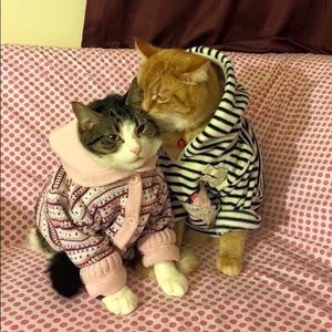 Meet your Posher, Saarah