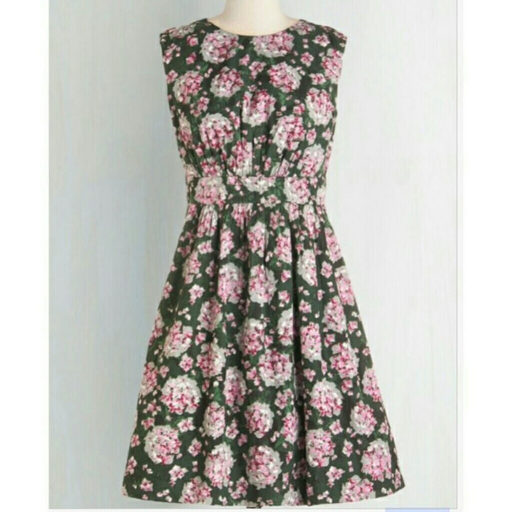 Too Much Fun in Hydrangeas