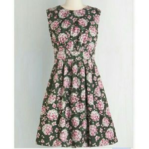 Too Much Fun in Hydrangeas