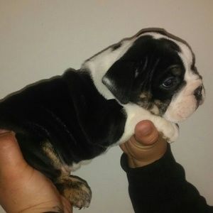 Meet your Posher, Miranda