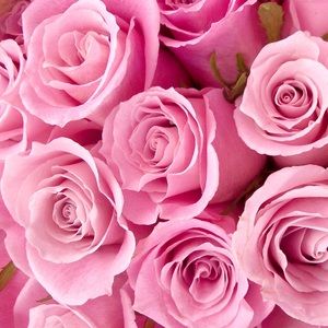 Meet your Posher, Bridget