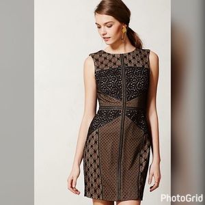 NWT Lace Topography Sheath Dress Small Petite