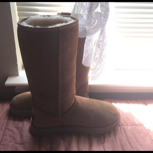 Uggs• Size 7