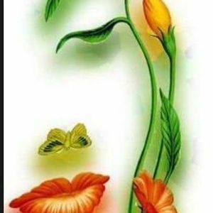 Meet your Posher, Sonia