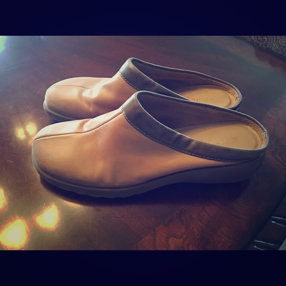 Azalea shoes