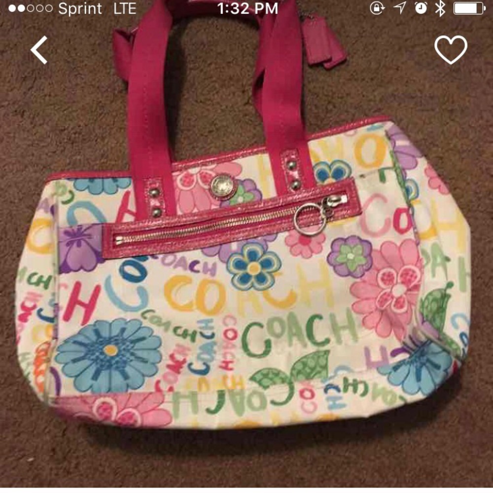 Multi Colored Coach - image 1