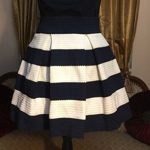 Navy and white high waisted skirt