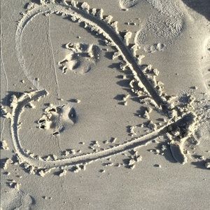 Meet your Posher, Susanna