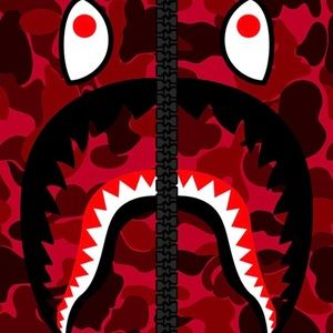 Meet your Posher, Timmy