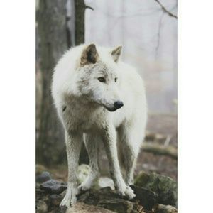 Meet your Posher, Jeff