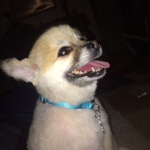 Meet your Posher, Andrea