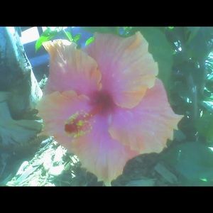 Meet your Posher, Sue