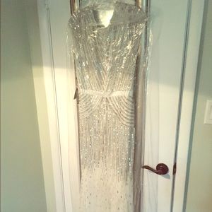 Beautiful Adrianna Papell dress