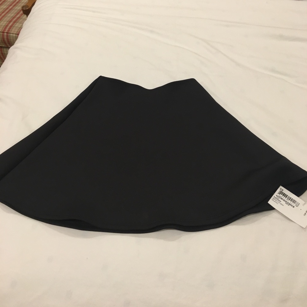 American Apparel Skater Skirt
