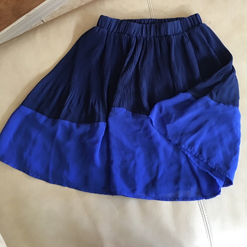 Blue skirt from Collective Concepts